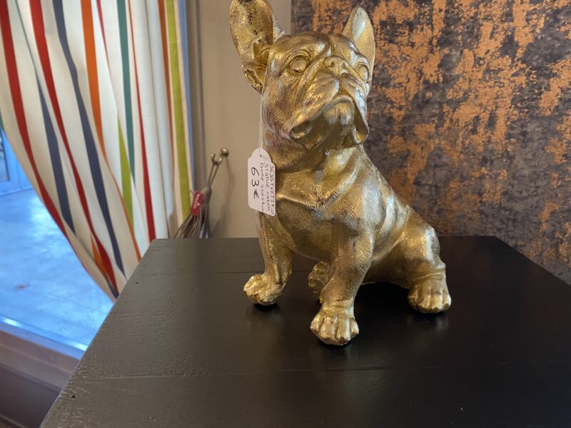 Bouledogue doré