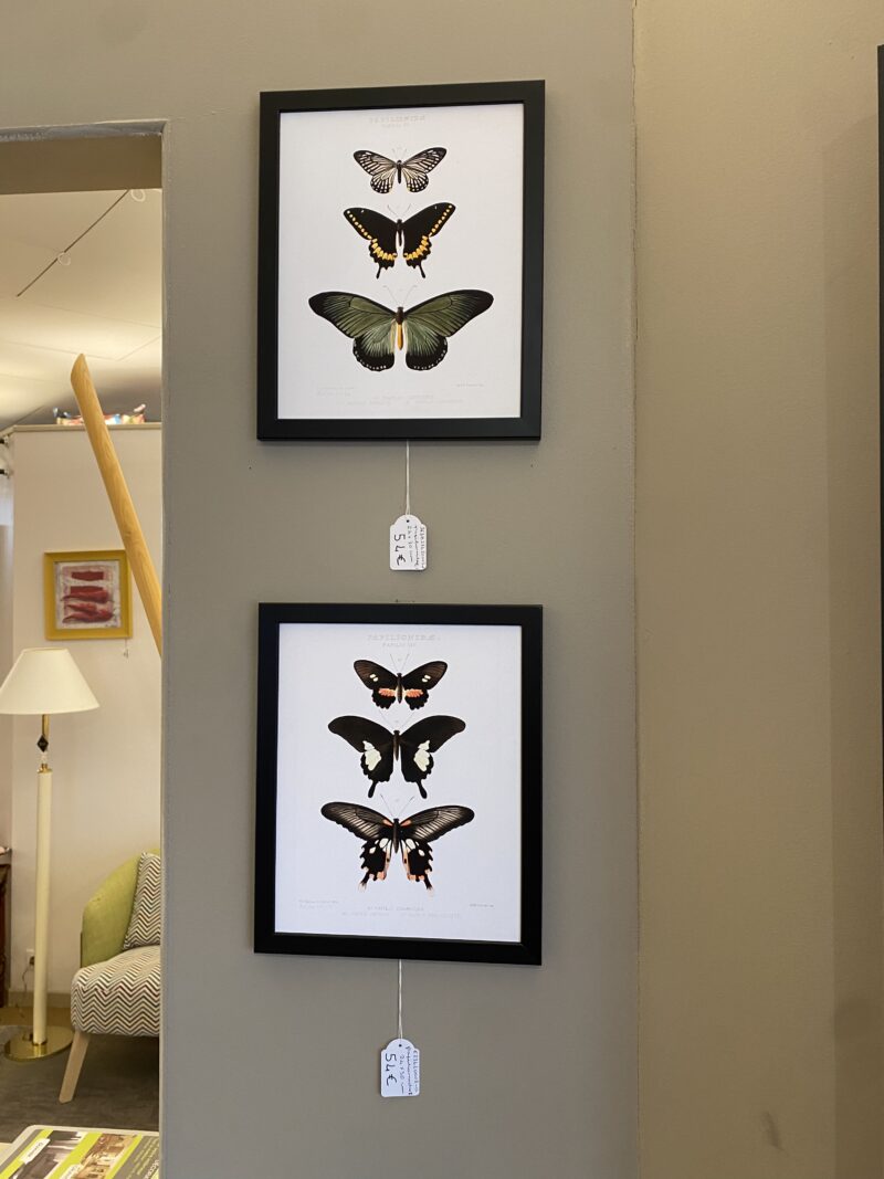 tableau papillons meubles chalon (1)